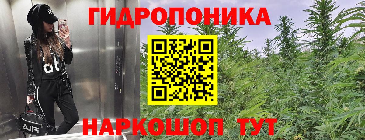 Бошки марихуана сатива  Вход с VPN  Ялта  Шишки марихуана индика 